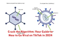 Crack the Algorithm: Your Guide to How to Go Viral on TikTok in 2024