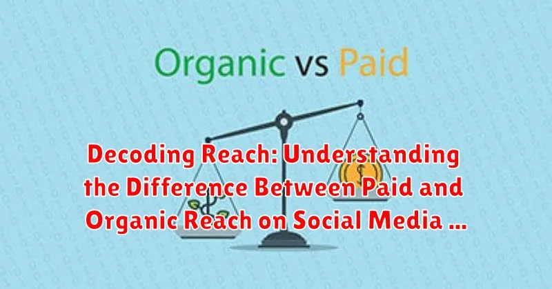 Decoding Reach: Understanding the Difference Between Paid and Organic Reach on Social Media